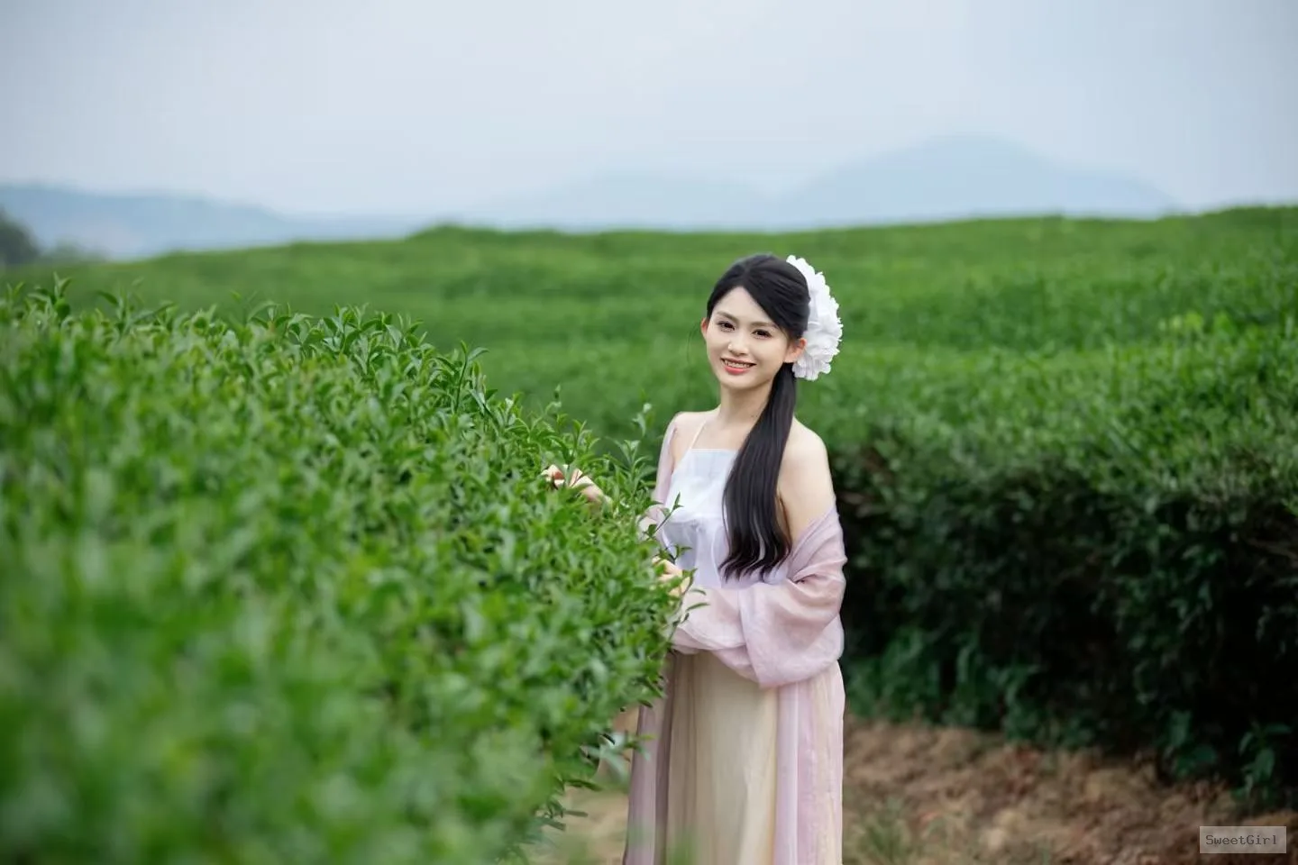 澳门帝豪培训老师技术一流 💓牌号🟣T782